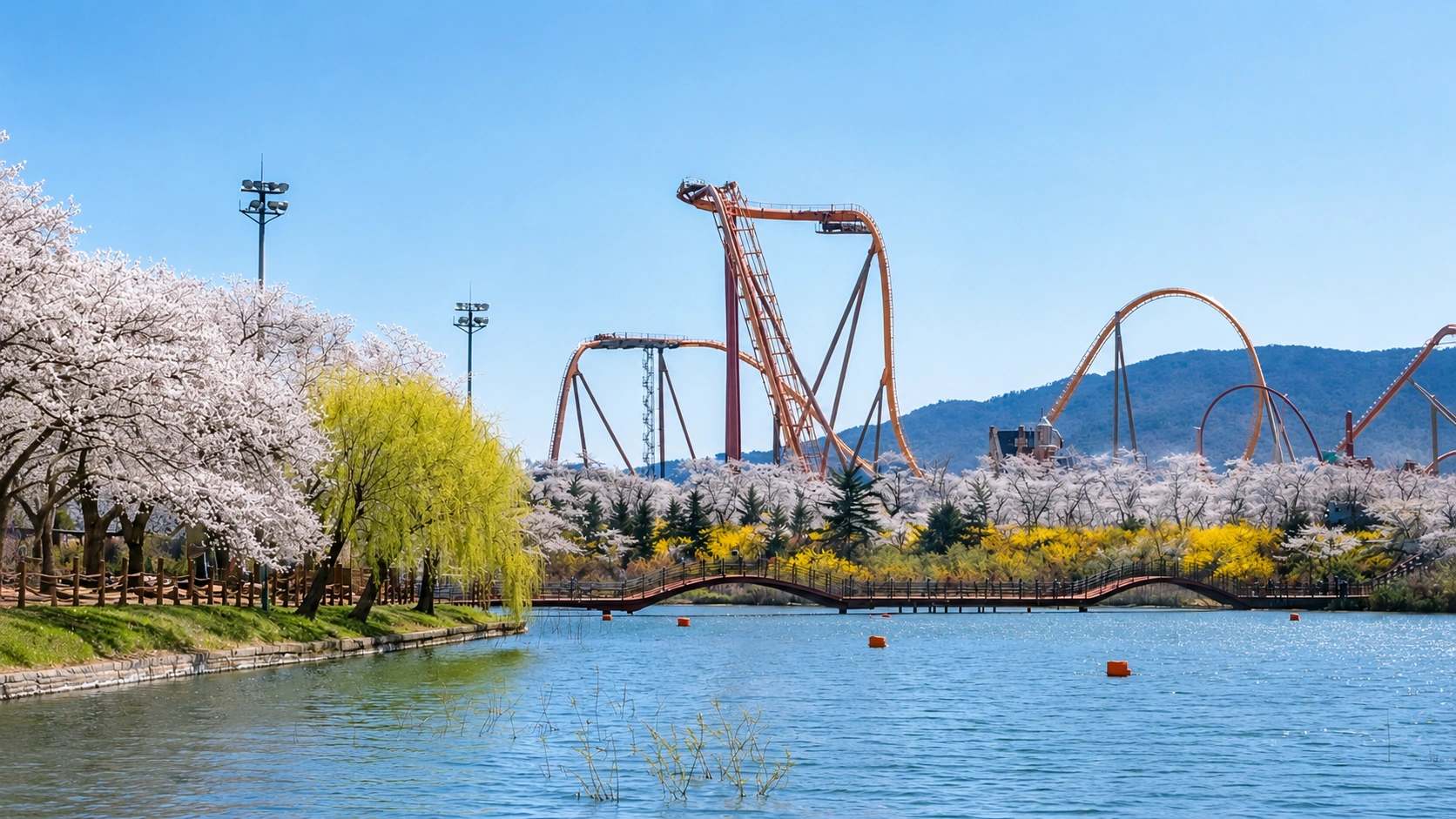 Bomun Lake (cherry blossom centerpiece) — gallery image 2