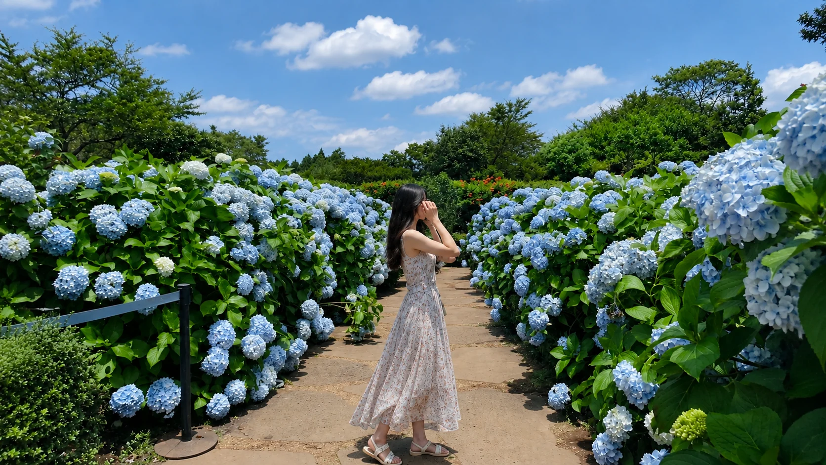 Camellia Hill (year-round signature flower garden)