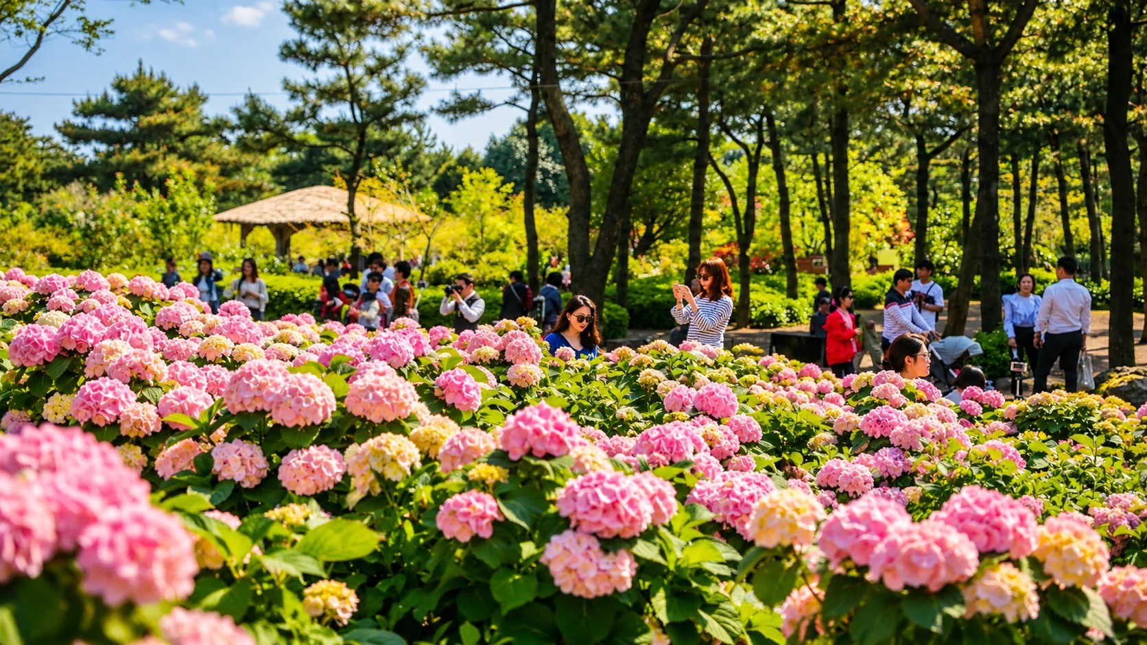 Hueree Natural Park — Hydrangea highlight — gallery image 1